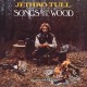 Songs From The Wood (40th Anniversary Edition - The Steven Wilson Remix)